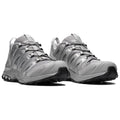 Salomon XA Pro 3D Gray / Silver