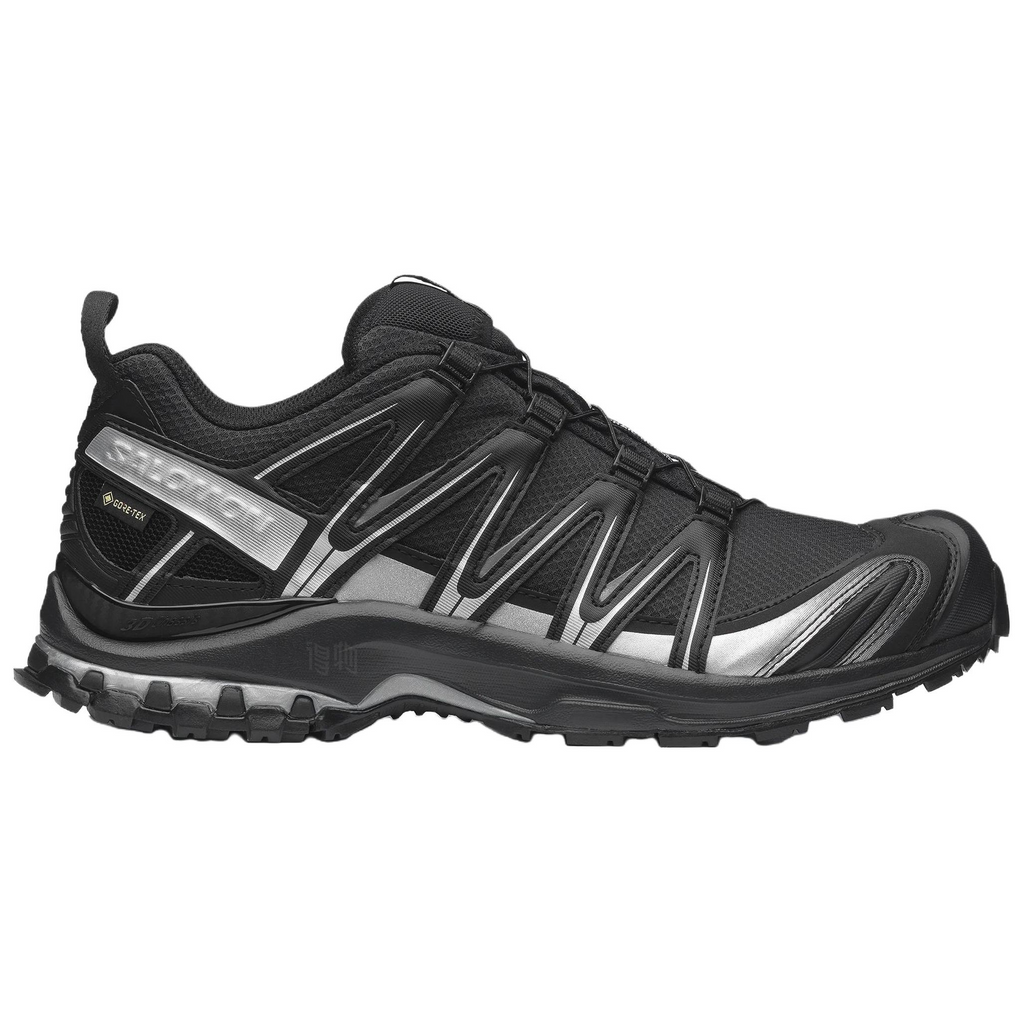Salomon XA Pro 3D GTX Black / Silver