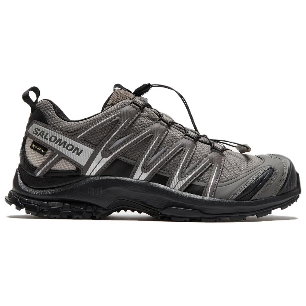 Salomon XA Pro 3D GTX Gray / Black